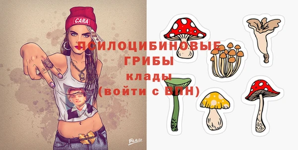 амфетамин Каменка