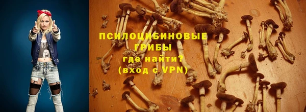 кокс Каменногорск